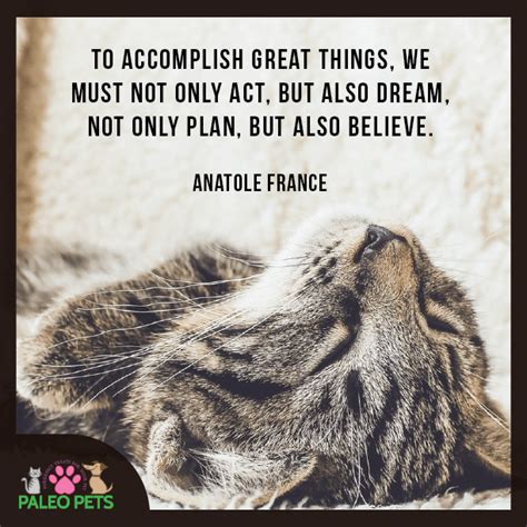 We hope that our collection of tuesday quotes have touched your heart. Happy Tuesday #Pet Lovers! #Cats #Animals #Quotes #PaleoPets | Dog quotes, Cute animals, Pets