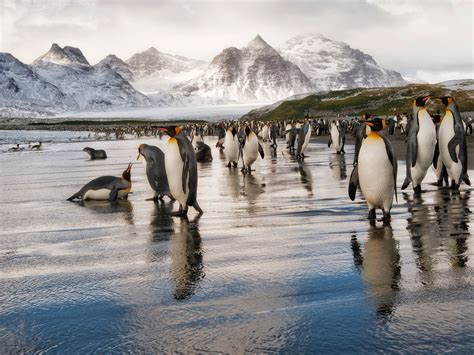 20 صورة مدهشة ستجعلك ترغب في زيارة القطب الجنوبي