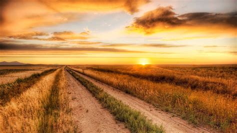 Download A Sunset View Of A Dirt Road In The Countryside Wallpaper