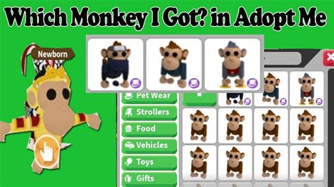 Which Monkey You Got In New Adopt Me Monkey Update Youtube