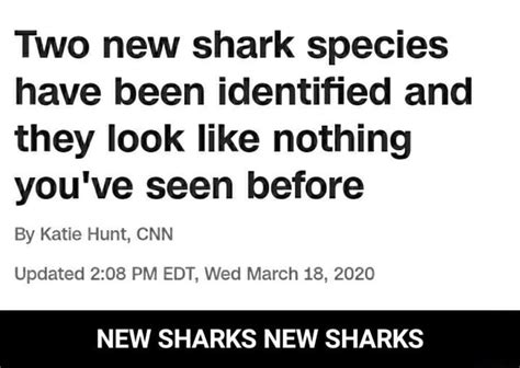 Two New Shark Species Have Been Identified And They Look Like Nothing