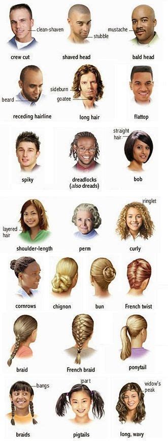 Learn all the basic hair care vocabulary with video and pictures. Educational infographic & data visualisation hair ...