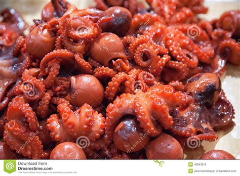 Wehai octopus seafood co.,ltd is chinese biggest live octopus export company. Baby octopus for sale stock photo. Image of market ...