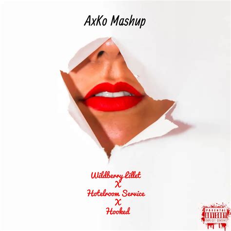 Wildberry Lillet X Hotel Room Service X Hooked Axko Mashup By Axko
