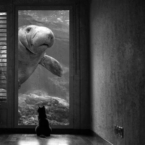 Surreal Black White Photography By Sarah DeRemer Great Inspire