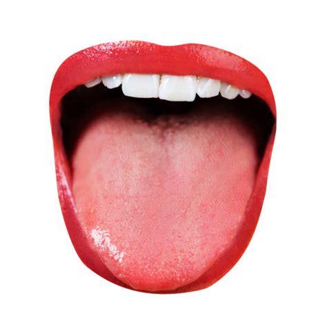 tongue kissing banque d images et photos libres de droit istock