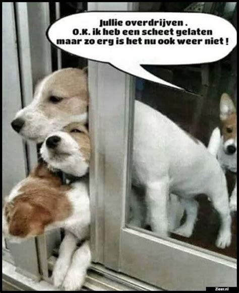 Honden Humor En Memes Pagina 4 Hondenforum