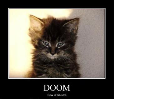 Cats shed more when stressed, which can happen after a major change such as a move or the arrival or a new human or pet in the house. My fuckin coffee pot broke....