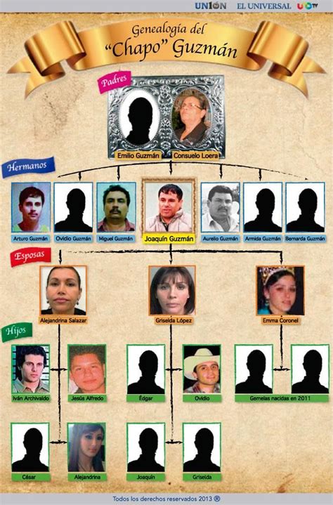 Infografía Árbol Genealógico De El Chapo Guzmán Chapo Guzmán