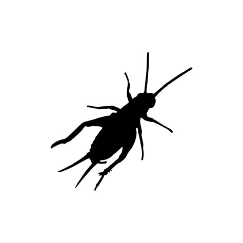 Cricket Insect Icon Simple Style Insect Science Poster Background