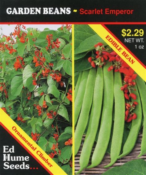Garden Beans Scarlet Emperor Hume Seeds