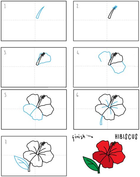 Learn How To Draw A Hibiscus Easy Step By Step Drawin