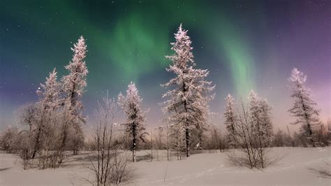 Картинки зима север ночь звёзды сияние лес снег обои 1920x1080