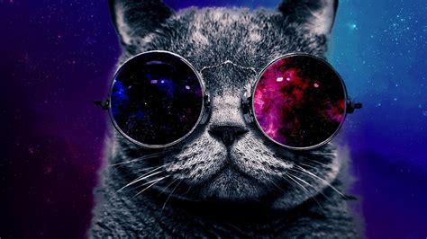 Serious Space Cat 1366x768 Wallpaper