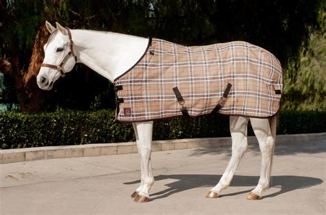 Why Your Horse Wants To Wear A Fly Sheet Marys Tack And Feed