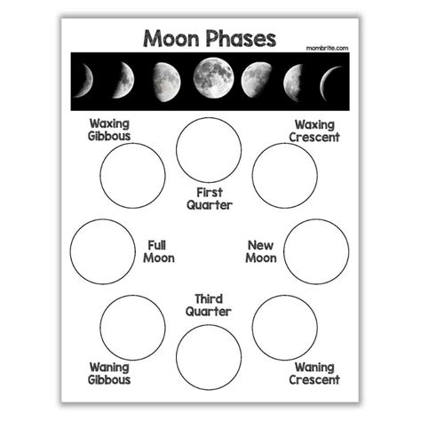 Phases Of The Moon Template