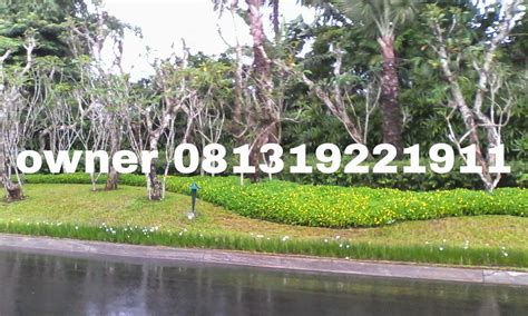 Kesempatan untuk rekan job hunter untuk melamar sebagai staff promotion, telah dibuka dirifan financindo.… surabaya rp. tukang taman bogor,tukang taman dibogor,jasa tukang taman ...