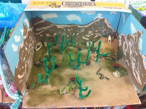 Science Bioramas Biome Diorama Project Ecosystems Projects Biomes