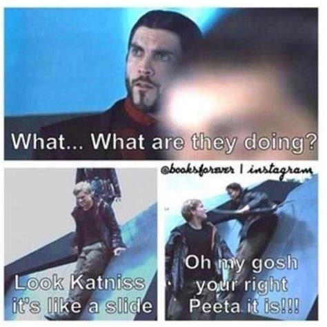 See more ideas about hunger based on the hunger games novel and film adaptation, here is a nearly definitive slideshow of internet memes, jokes, references, maps, and. Best 25 Hunger Games Memes | Quotes and Humor