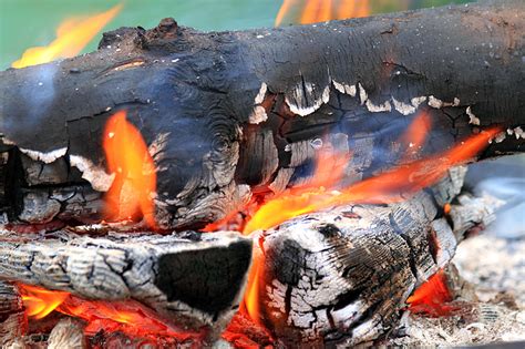Free Photo Fire Campfire Flame Heat Burn Wood Firelight Hippopx
