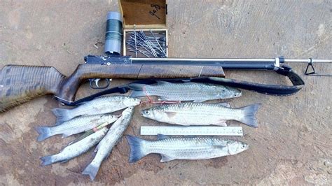 Tips Memodifikasi Senapan Untuk Berburu Ikan Hasil Maksimal