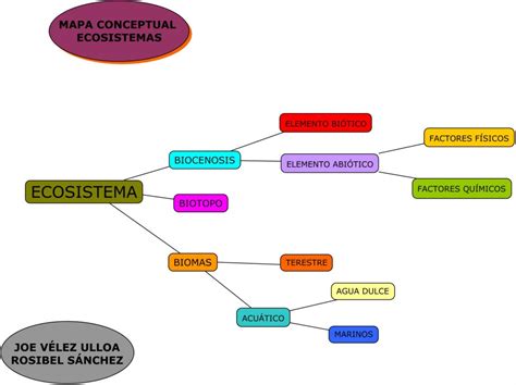Mapa Conceptual Ecosistema Mind Map Sexiz Pix