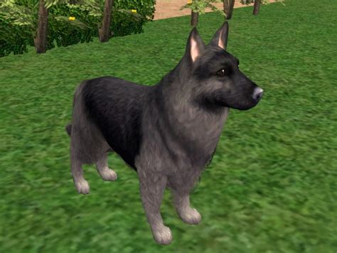Mod The Sims The Long Hair German Shepherd My Version By Request