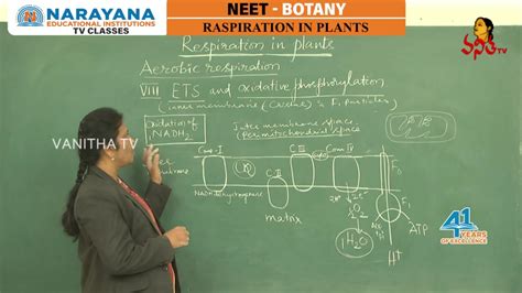 Respiration In Plants Neet Botany Class For Intermediate Students