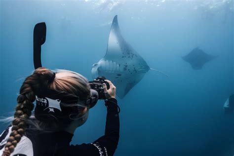 Maldives This All Female Team Is Working To Protect Manta Rays Cnn