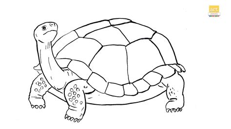 How To Draw A Tortoise Drawing II Tortoise Drawing Easy II Part 01 II