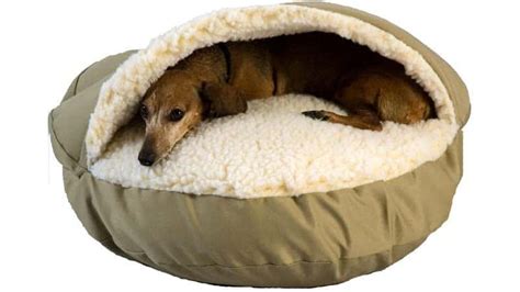 9 Best Heated Dog Beds To Keep Your Pup Warm 2021 Reviews