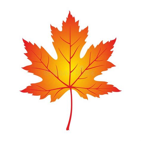 Red Maple Leaf Autumn Isolated Stock Vector Illustration Of Leaf