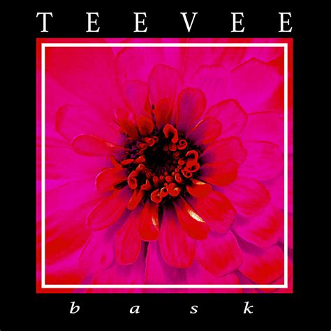 Teevee Bask Album Review Music The Austin Chronicle