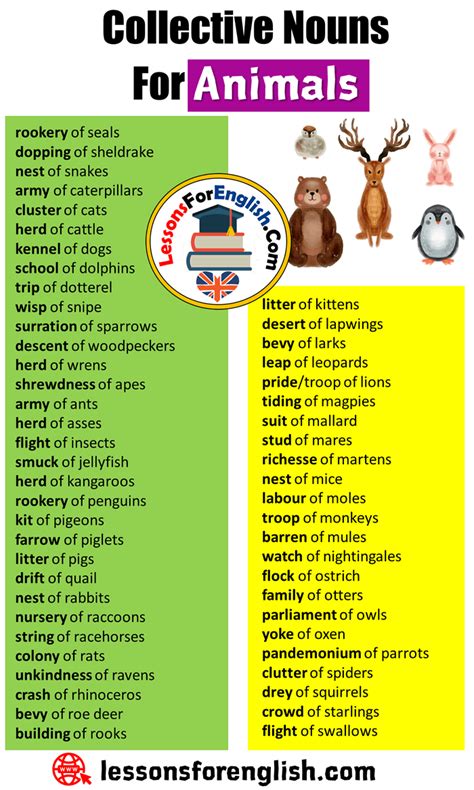 Mother, father and two children). English Collective Nouns list, Collective Nouns For ...