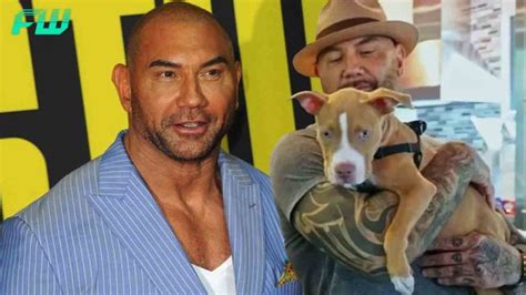 Mcu Star Dave Bautista Adopts An Abused Puppy Offers A Cash Reward To
