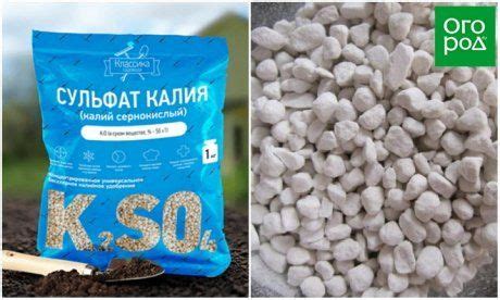 Что такое калийные удобрения, как и где они применяются
