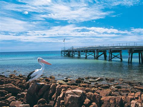How To Spend The Perfect Weekend On Kangaroo Island Travel Insider