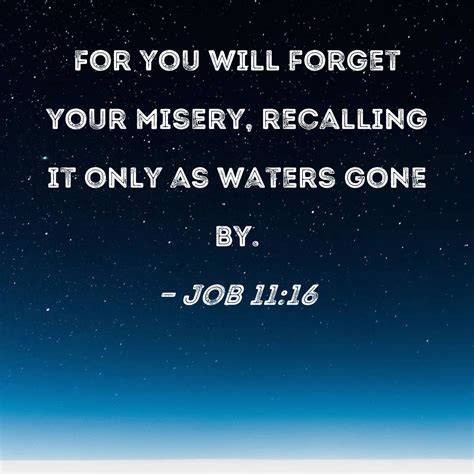 Job 1116 For You Will Forget Your Misery Recalling It Only As Waters