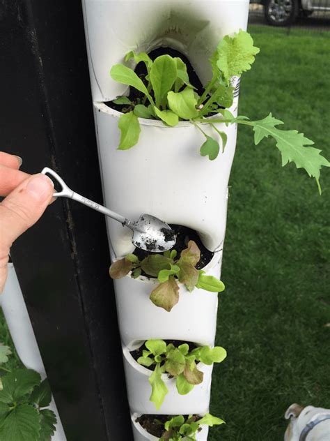 Diy strawberry tower from pvc pipe. 21 Amazing Ideas To Build Your Own Tower Garden | Gardenoid