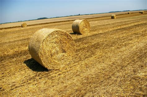 Bale Of Hay Free Photo Download Freeimages