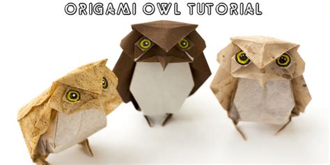 Quick And Easy Guide To Becoming An Origami Owl Expert Paper Owls