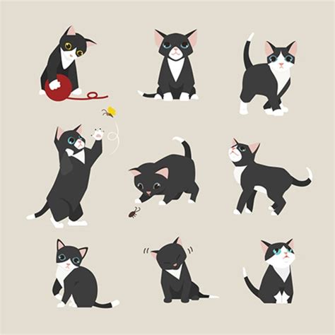 Day Black Kitten Black Kitten Illustration Kitten