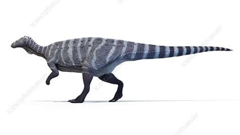 Thescelosaurus Dinosaur Illustration Stock Image F0378364