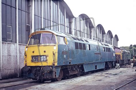Rail Online Class 52 Western D1044 1973 Laira