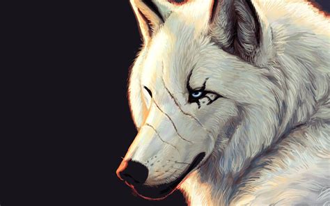 Best Of Anime White Wolf With Blue Eyes Quotes About Life
