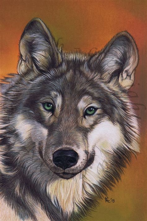 Wolf Wildlife Art In Pastel From Art By Karie Ann International