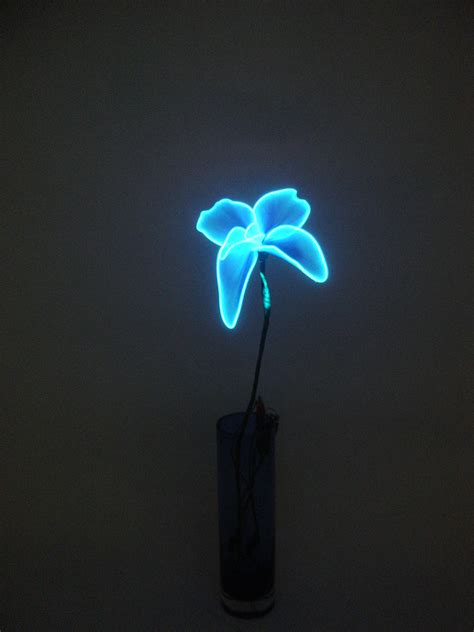 Flexible Neon Wireelectroluminescent Wirecool Lightinge Flickr