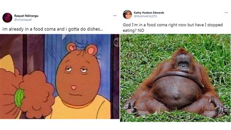 Thanksgiving Food Coma Hits In Netizens Share Funny Memes And 