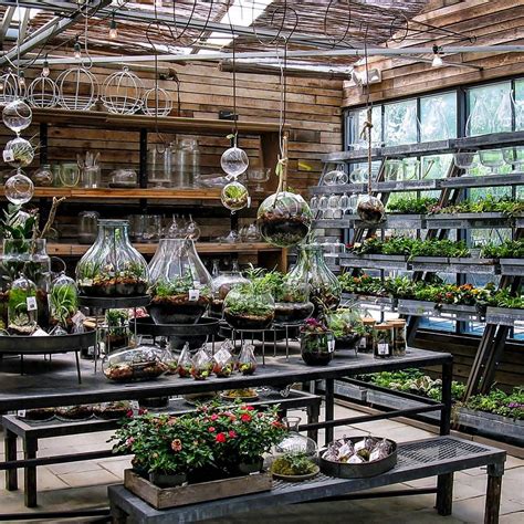 As per tradition and belief in the eastern countires cactus plant should not be kept in the house or garden itself, not to speak of bedroom. Pin by Clara Hsu on Aquarium | Terrarium | Bonsai ...