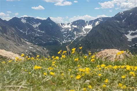 Rocky Mountain National Park In Summer Tour From Denver Triphobo